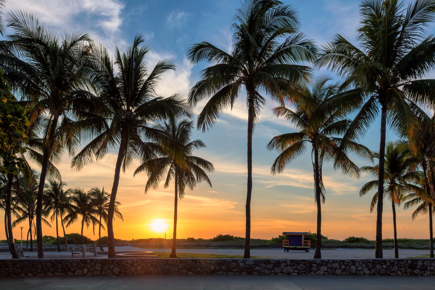 Miami Beach sunset with palm trees, Florida